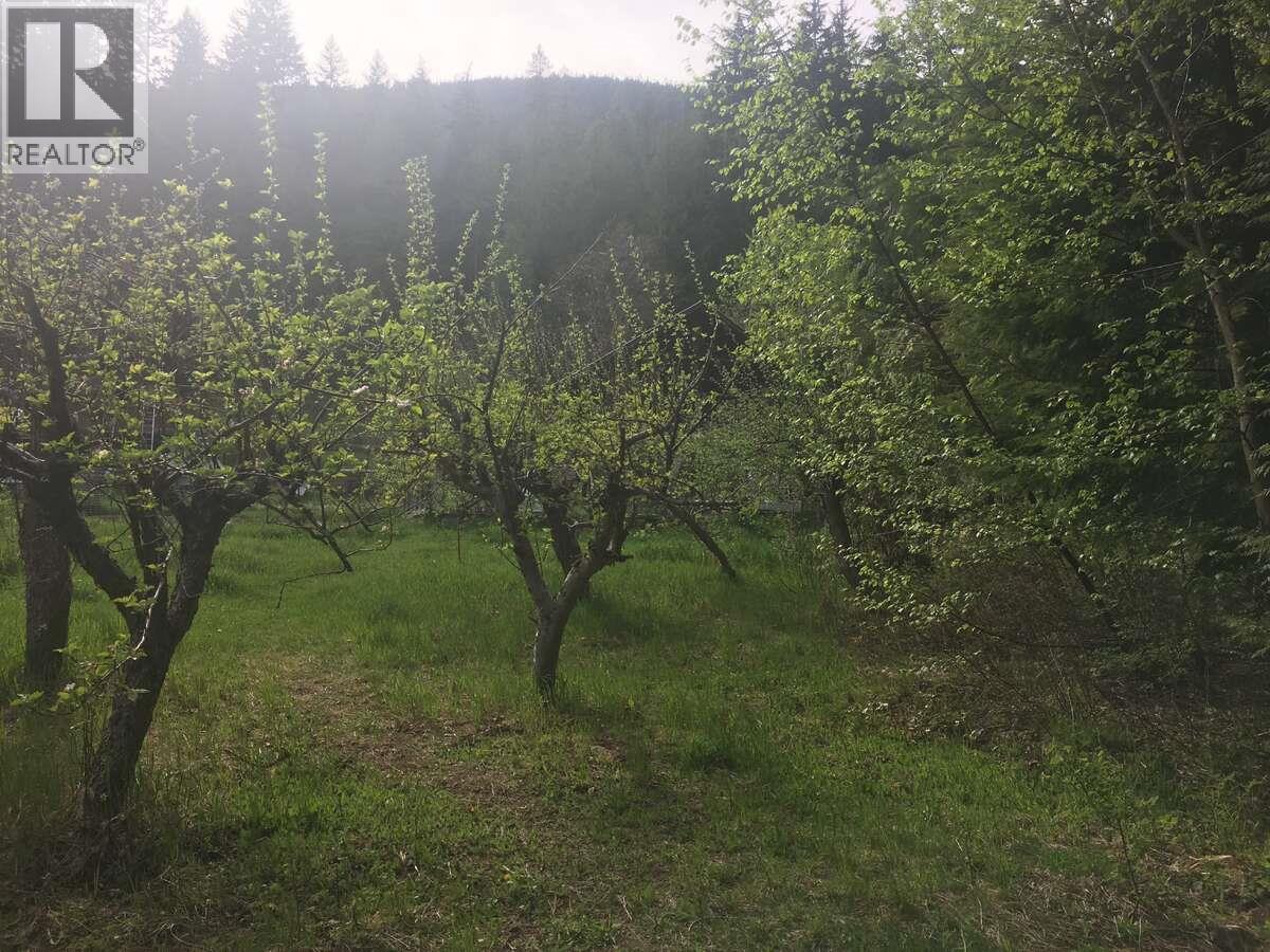 6119 Slocan River Road, Appledale, British Columbia  V0G 2J0 - Photo 34 - 10352161
