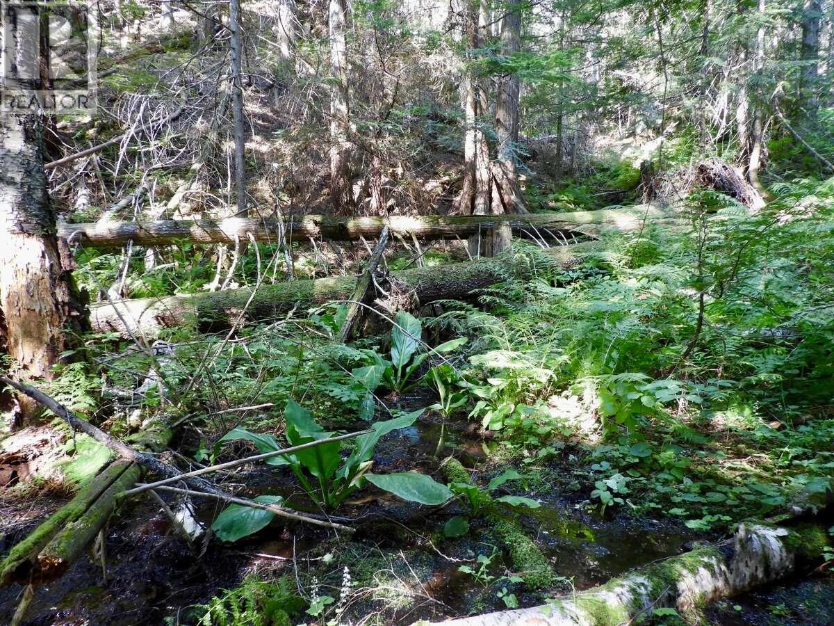 6119 Slocan River Road, Appledale, British Columbia  V0G 2J0 - Photo 39 - 10352161