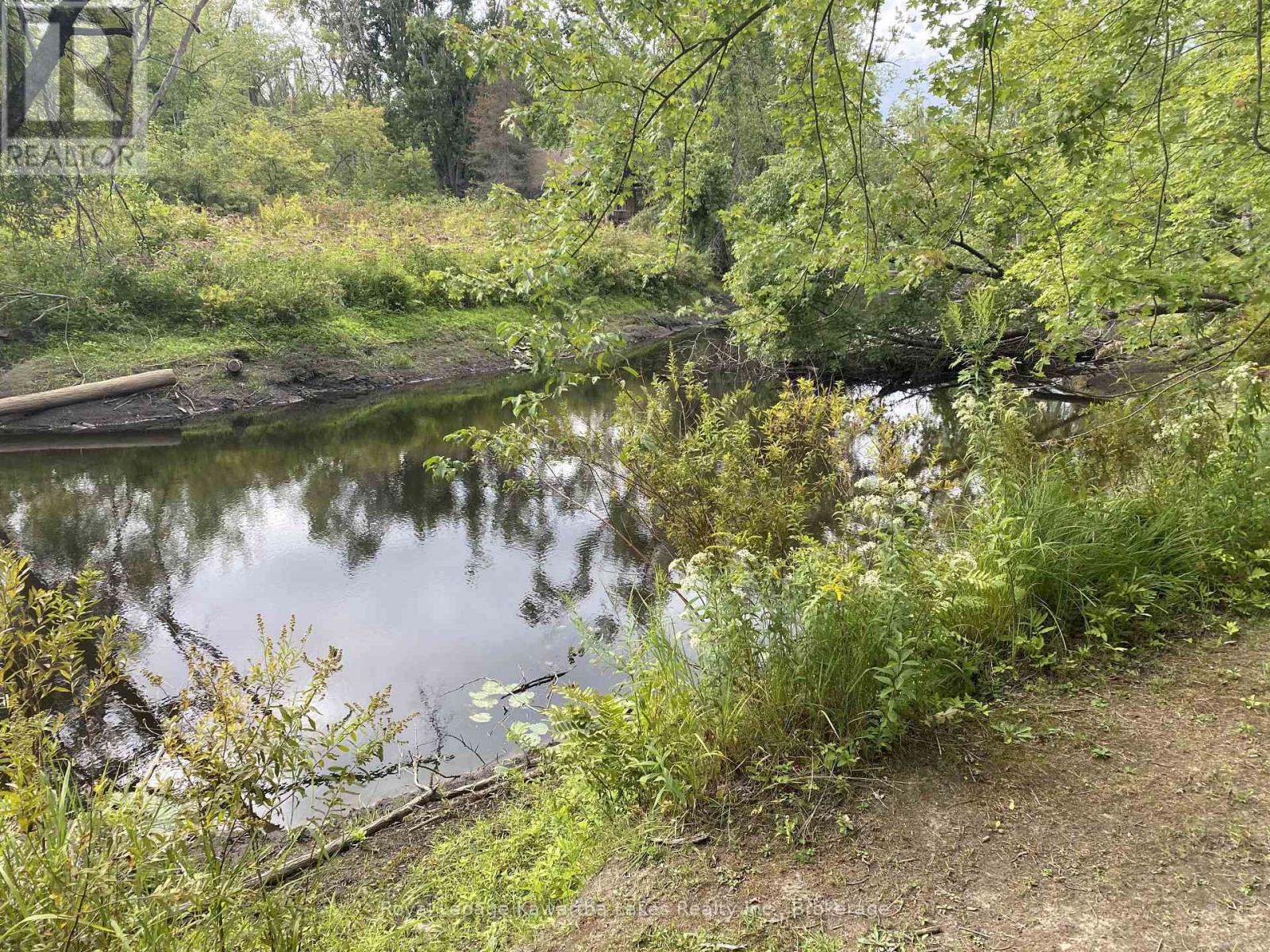 Pt Lot 36 Edwina Drive, Trent Lakes, Ontario K0M 1A0 - Photo 24 - X12356493