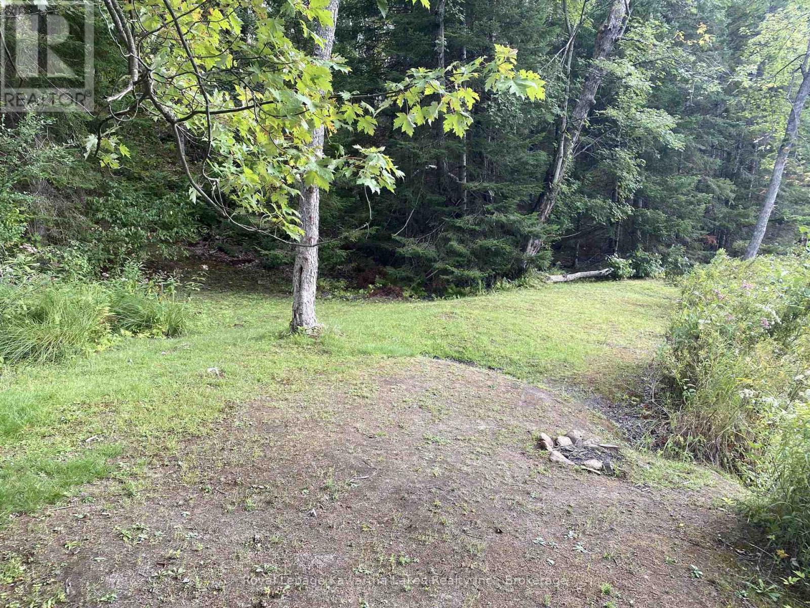 Pt Lot 36 Edwina Drive, Trent Lakes, Ontario K0M 1A0 - Photo 22 - X12356493