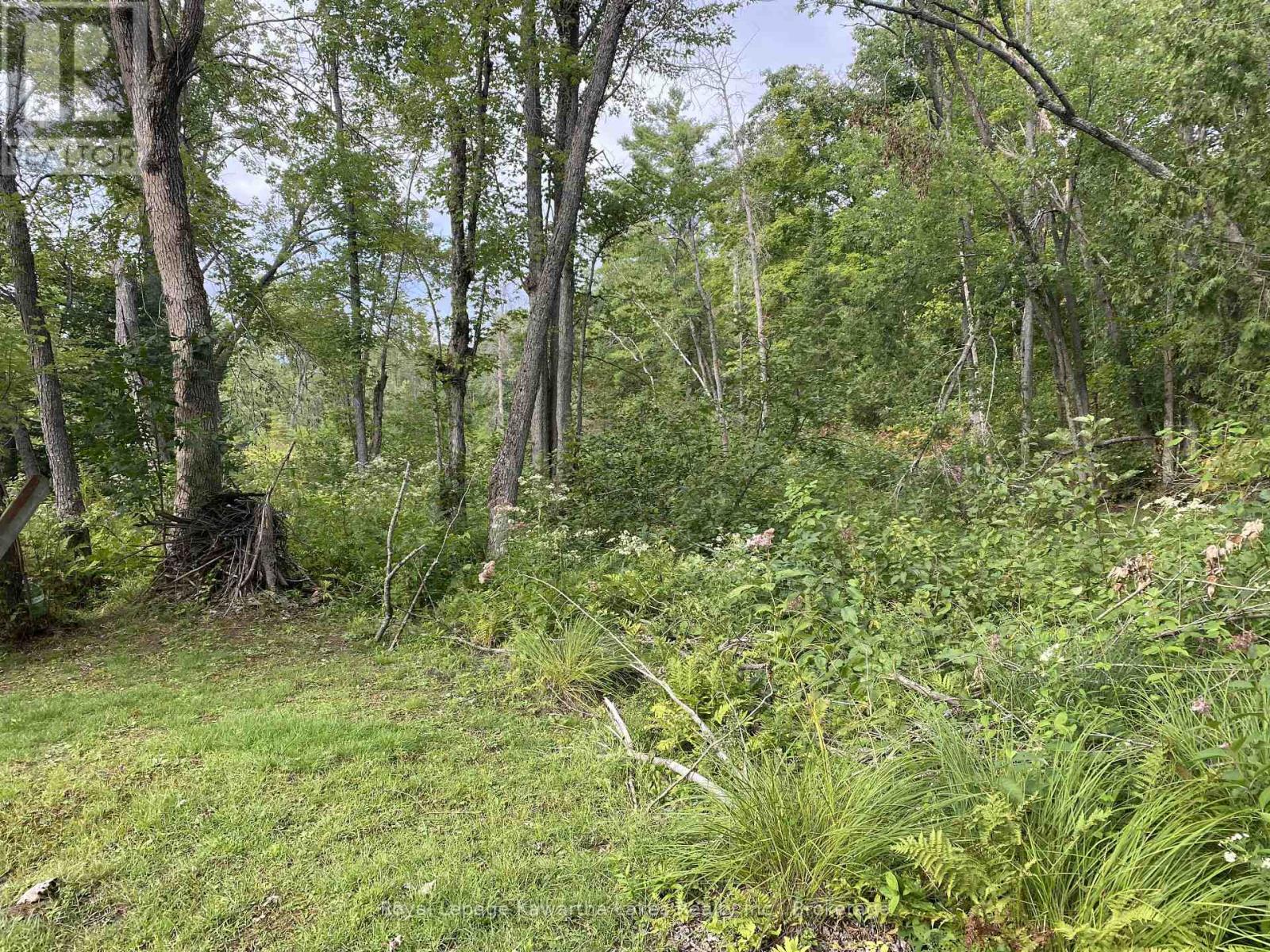 Pt Lot 36 Edwina Drive, Trent Lakes, Ontario K0M 1A0 - Photo 25 - X12356493
