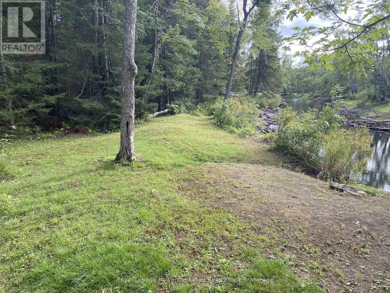 Pt Lot 36 Edwina Drive, Trent Lakes, Ontario K0M 1A0 - Photo 23 - X12356493
