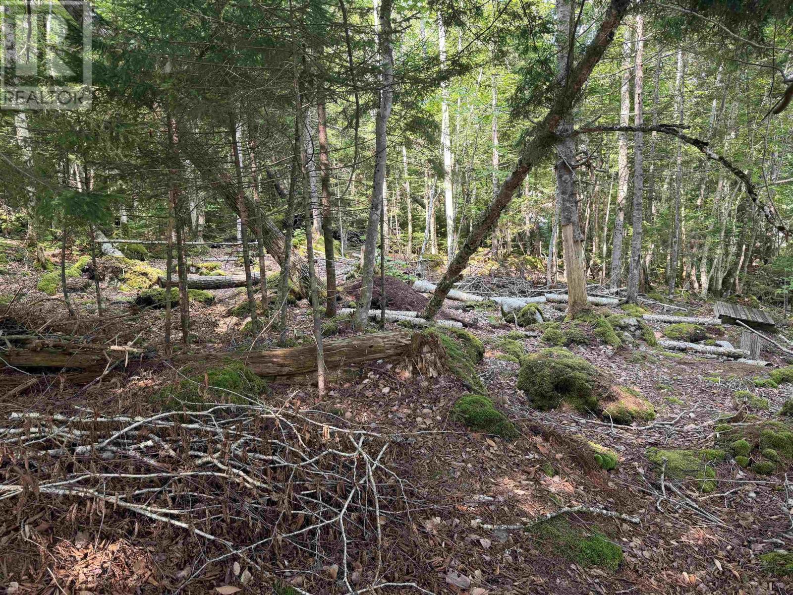 Cottage/rv Lot Highway 357 Highway, Musquodoboit Harbour, Nova Scotia  B0J 2L0 - Photo 2 - 202620145