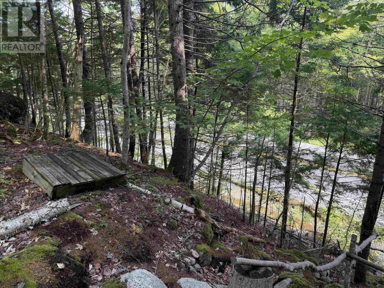 Cottage/rv Lot Highway 357 Highway, Musquodoboit Harbour, Nova Scotia  B0J 2L0 - Photo 6 - 202620145