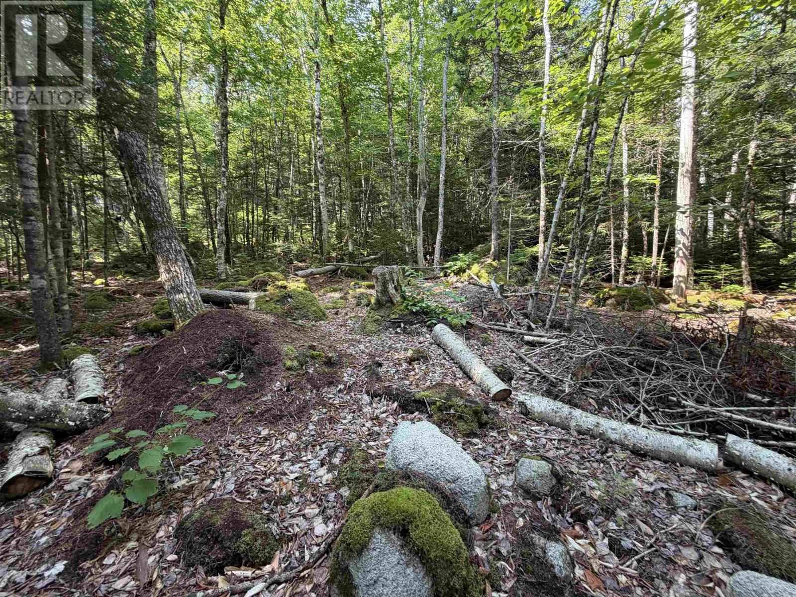 Cottage/rv Lot Highway 357 Highway, Musquodoboit Harbour, Nova Scotia  B0J 2L0 - Photo 5 - 202620145