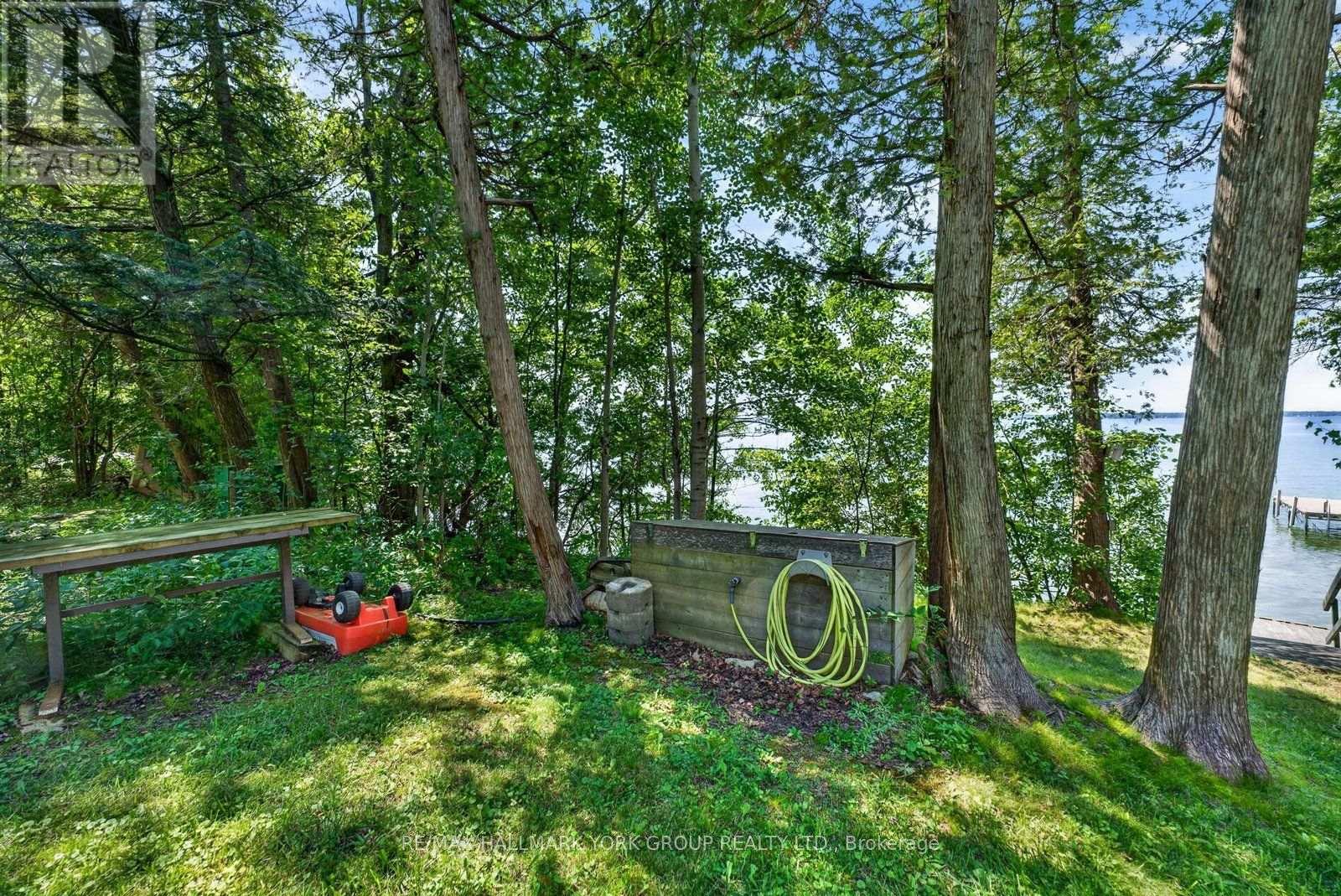 Lot 193 Snake Island Road, Georgina Islands, Ontario  L4P 3E9 - Photo 35 - N13657334