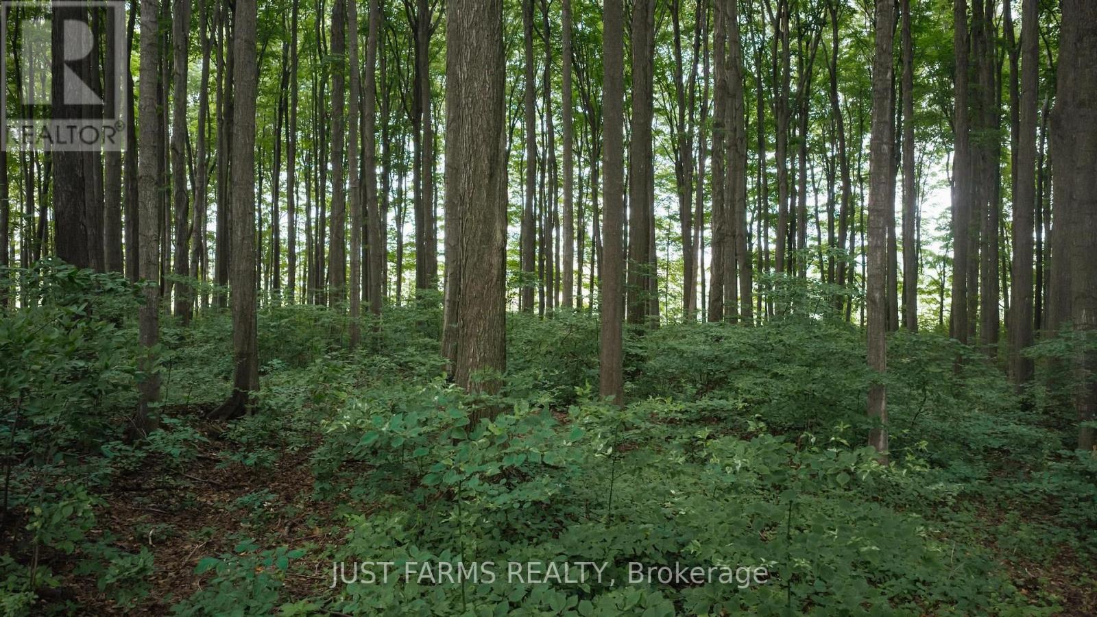 4881 Bruce Road 4 Road, South Bruce, Ontario  N0G 2S0 - Photo 11 - X13657708