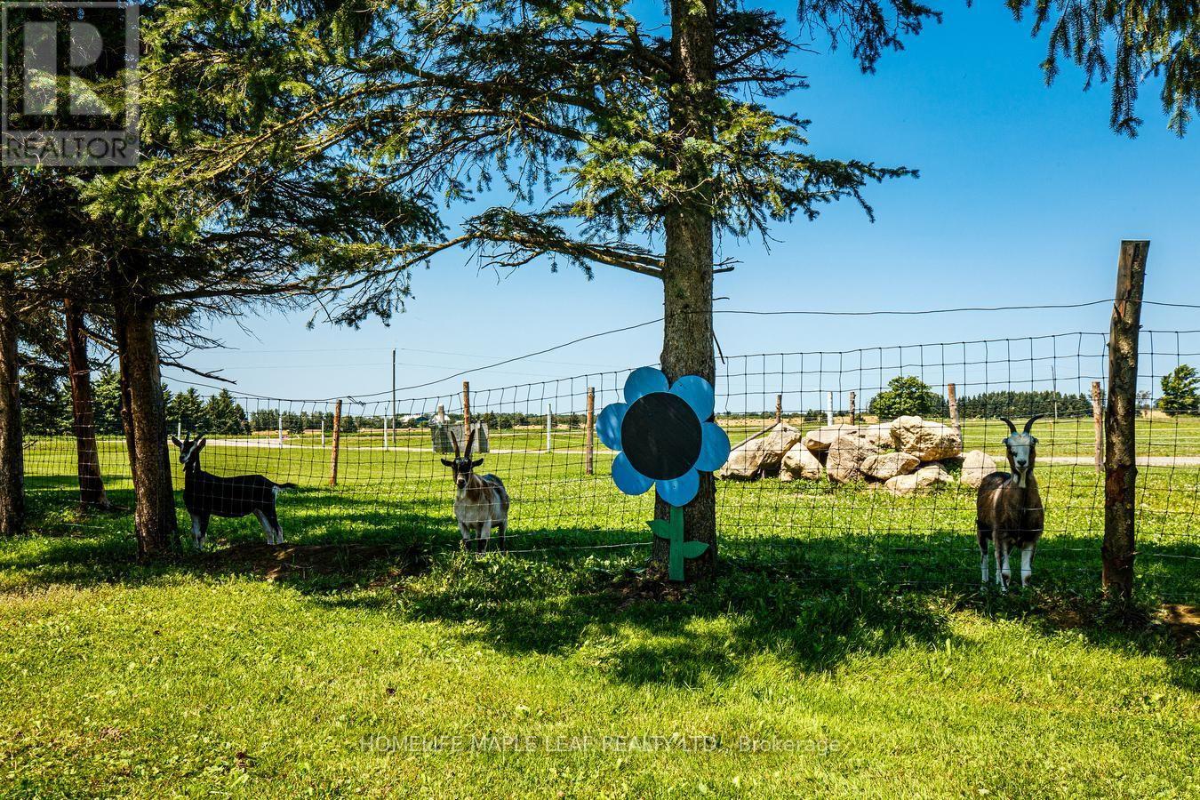 333329 7th Line, Amaranth, Ontario  L9W 0K8 - Photo 43 - X13657512
