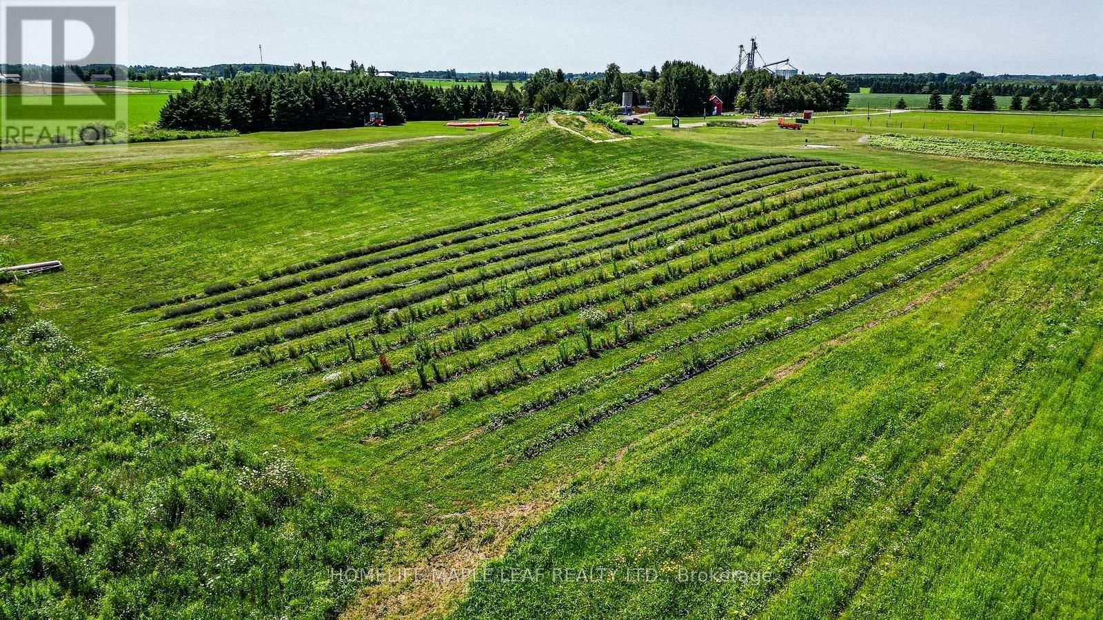333329 7th Line, Amaranth, Ontario  L9W 0K8 - Photo 49 - X13657530