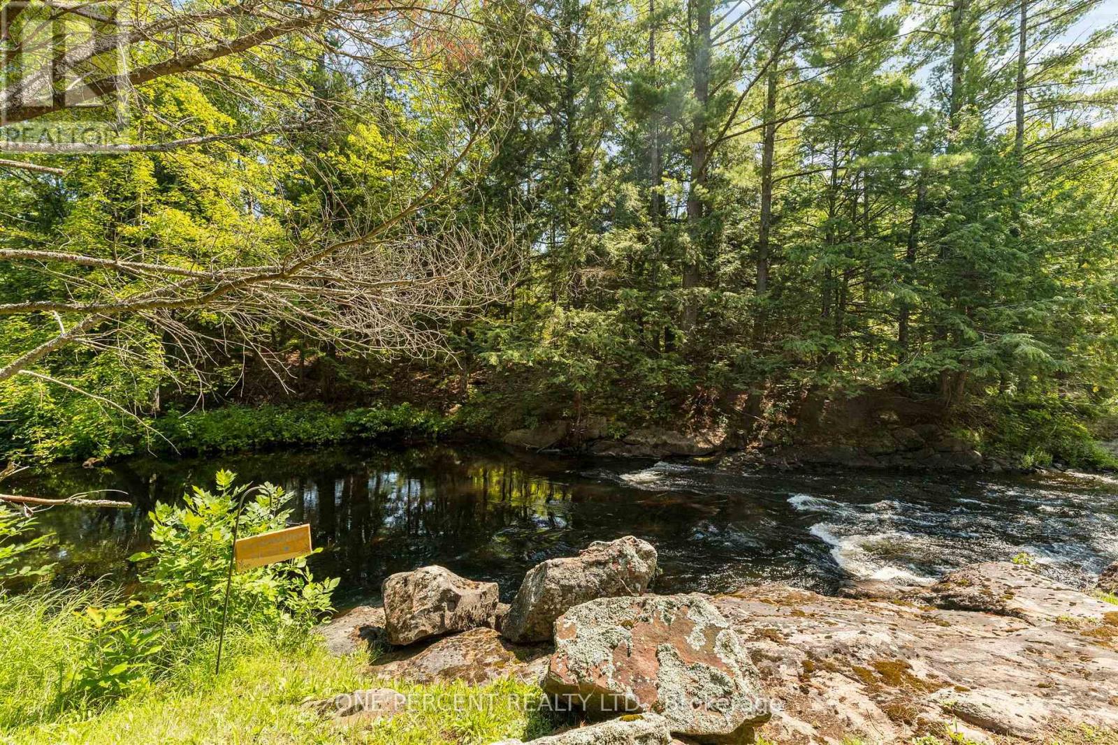 47 Head River Lane, Kawartha Lakes, Ontario  L3V 4M2 - Photo 26 - X13657582