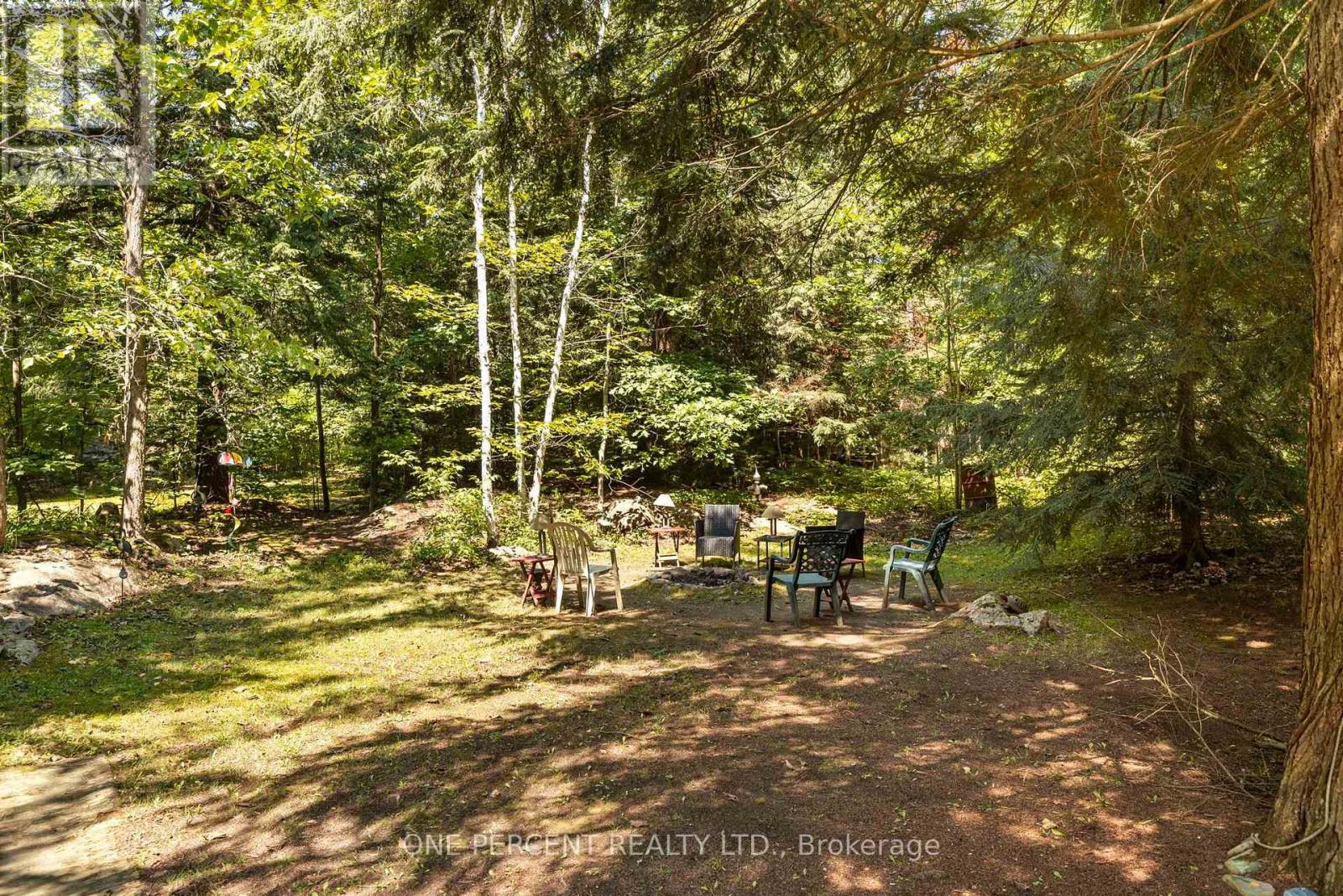 47 Head River Lane, Kawartha Lakes, Ontario  L3V 4M2 - Photo 28 - X13657582