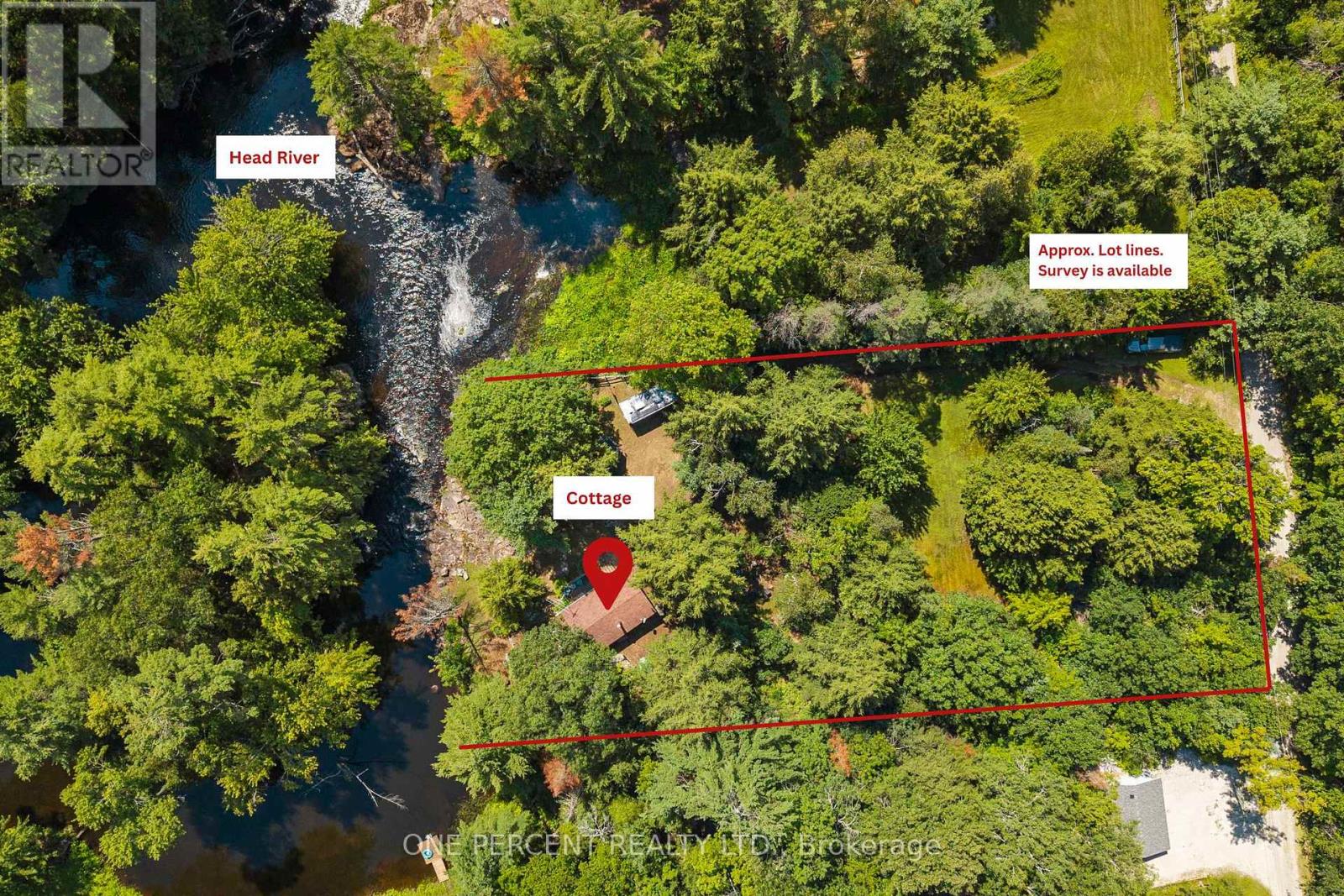 47 Head River Lane, Kawartha Lakes, Ontario  L3V 4M2 - Photo 4 - X13657582