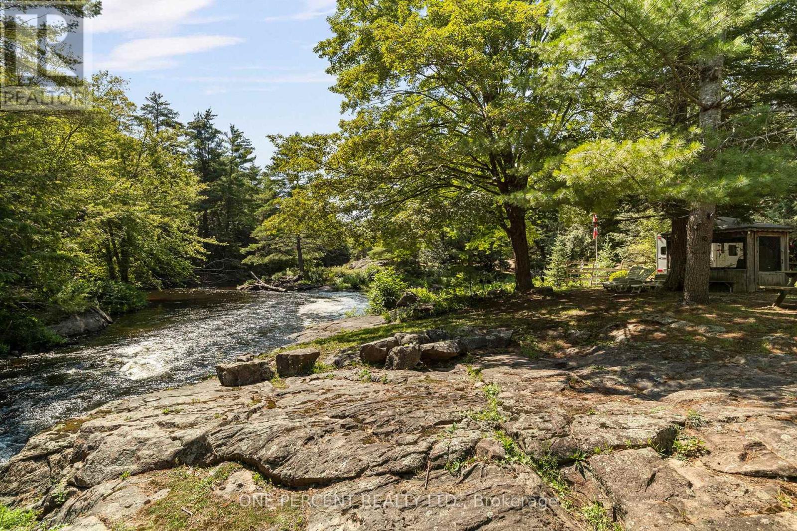47 Head River Lane, Kawartha Lakes, Ontario  L3V 4M2 - Photo 6 - X13657582