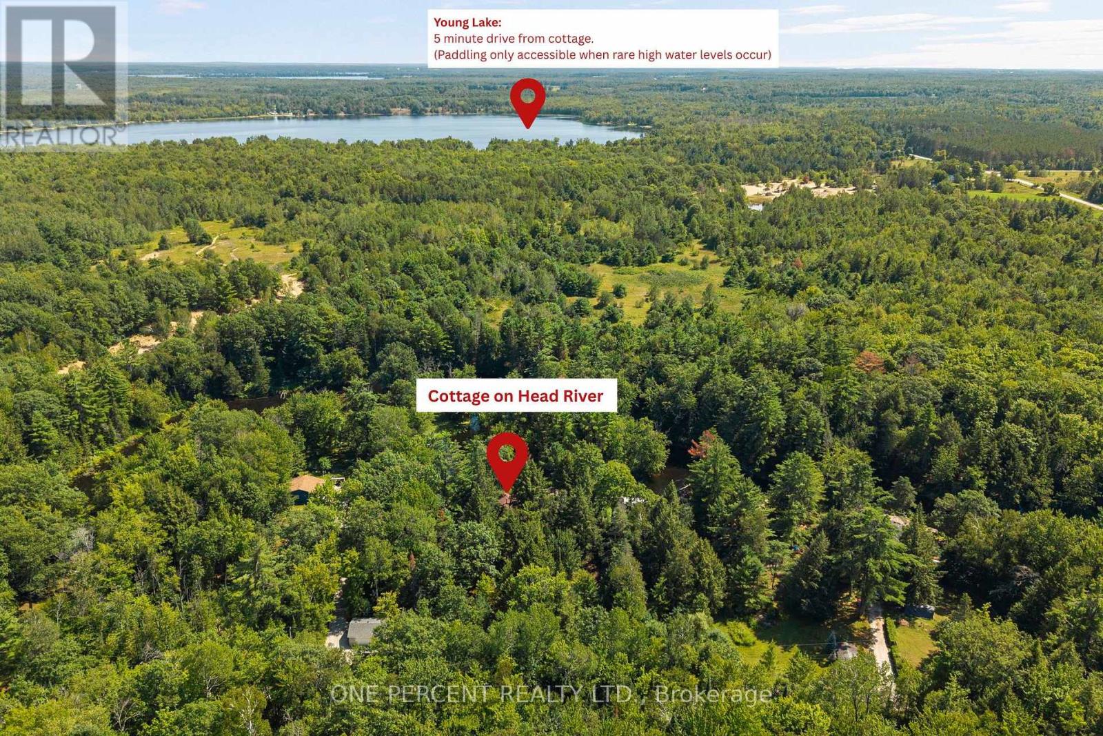 47 Head River Lane, Kawartha Lakes, Ontario  L3V 4M2 - Photo 7 - X13657582