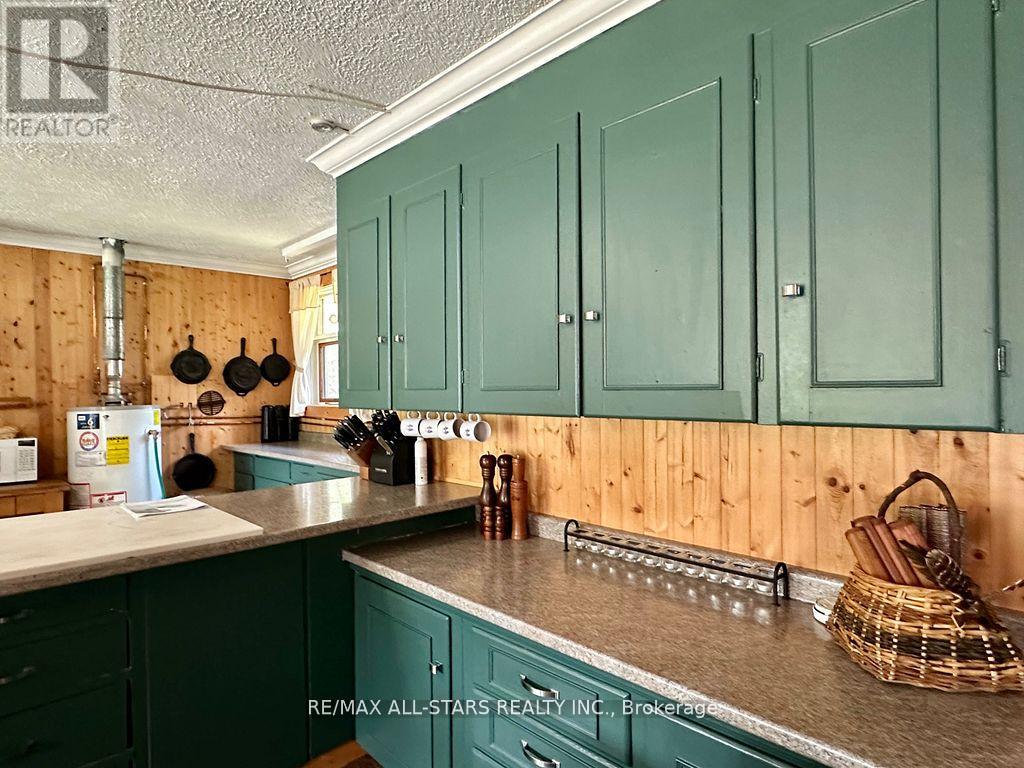 380 Ledge Road, Trent Lakes, Ontario  K0M 1A0 - Photo 12 - X13019316