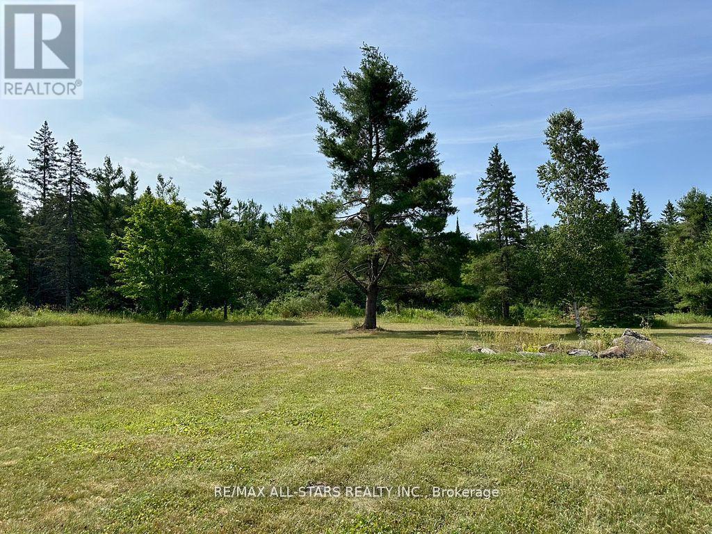 380 Ledge Road, Trent Lakes, Ontario  K0M 1A0 - Photo 47 - X13019316