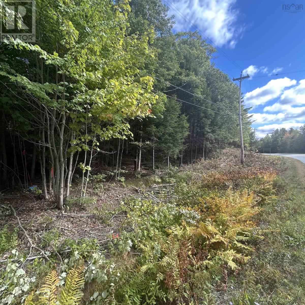 Lot 25-2 Conquerall Mills Road, Conquerall Mills, Nova Scotia  B4V 7A3 - Photo 1 - 202524451