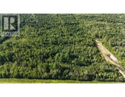 Woodlot Route 8, Blissfield, New Brunswick