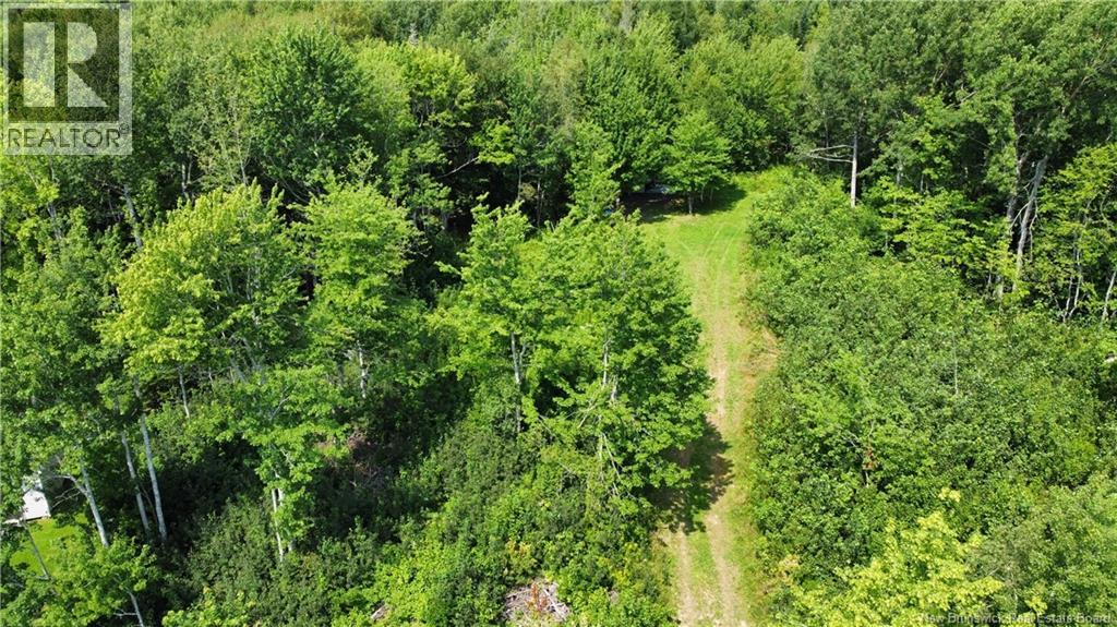 Lot Gerard, Saint-Antoine, New Brunswick E4V 1A8 - Photo 7 - NB145633