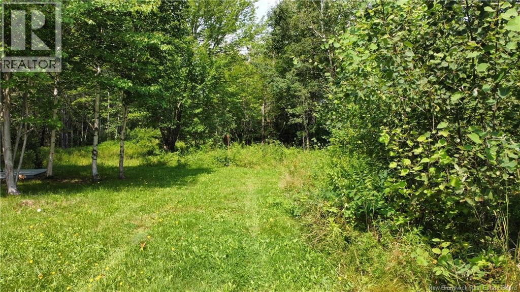 Lot Gerard, Saint-Antoine, New Brunswick E4V 1A8 - Photo 6 - NB145633