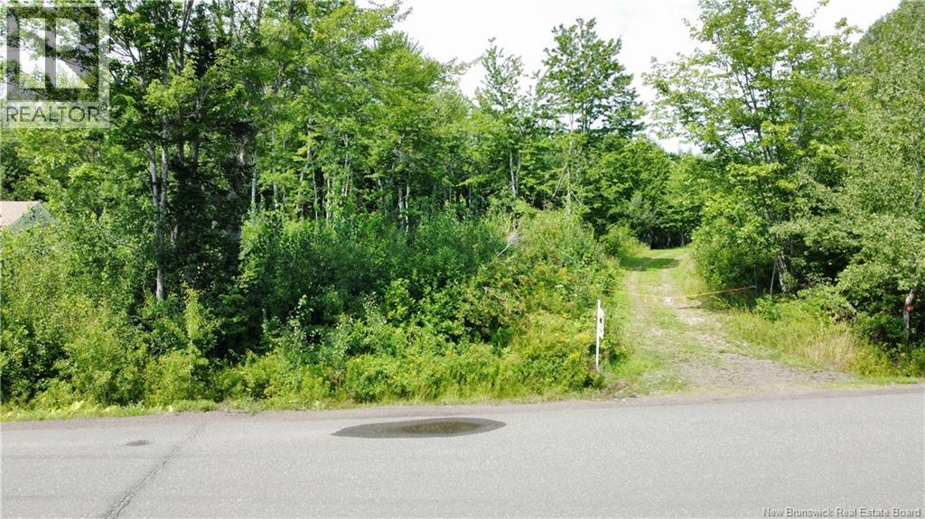 Lot Gerard, Saint-Antoine, New Brunswick E4V 1A8 - Photo 5 - NB145633