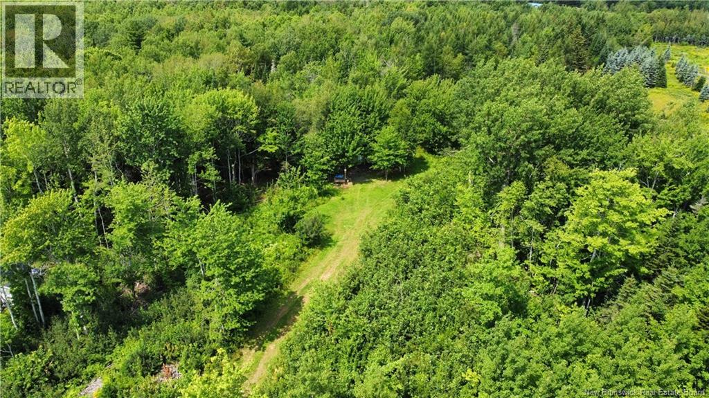 Lot Gerard, Saint-Antoine, New Brunswick E4V 1A8 - Photo 9 - NB145633