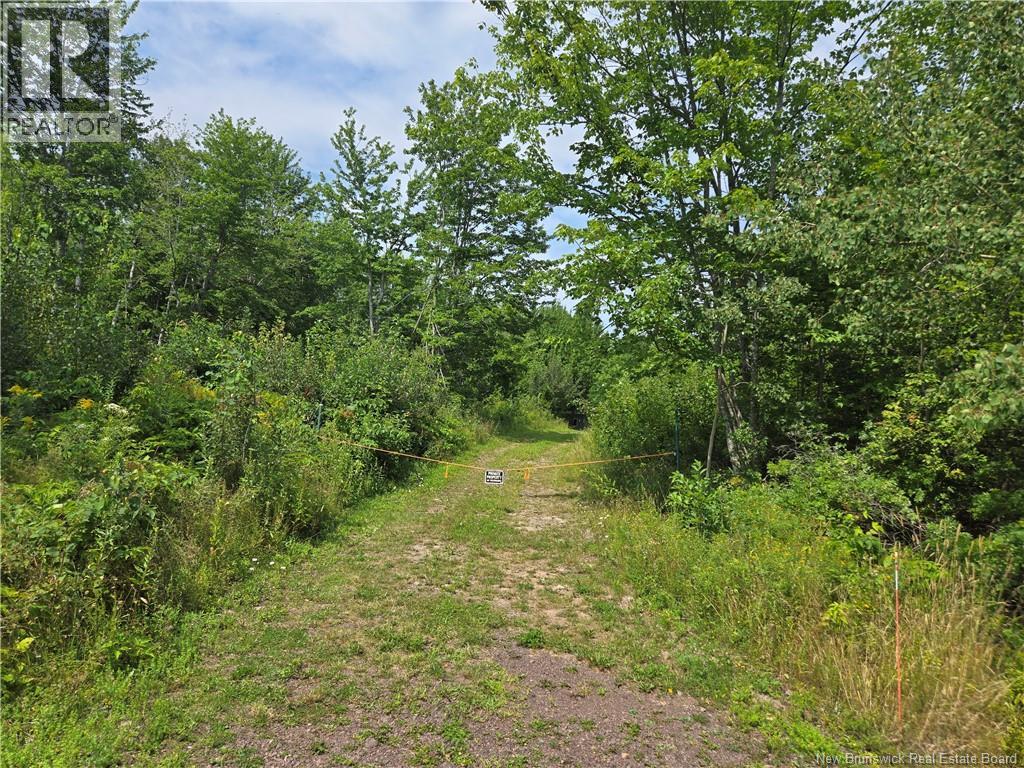 Lot Gerard, Saint-Antoine, New Brunswick E4V 1A8 - Photo 4 - NB145633