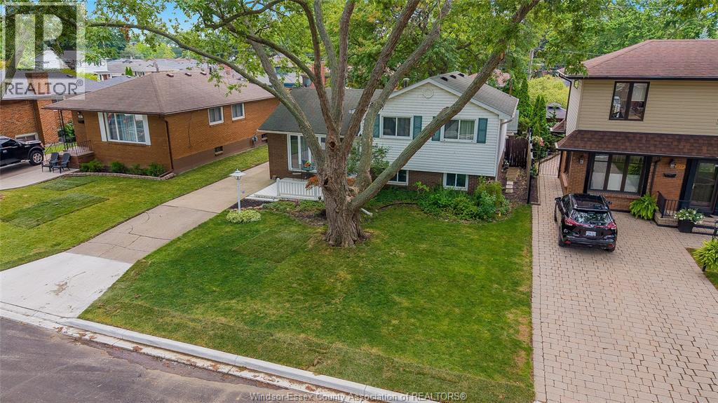 381 Carling, Windsor, Ontario  N8S 3X7 - Photo 2 - 26019252