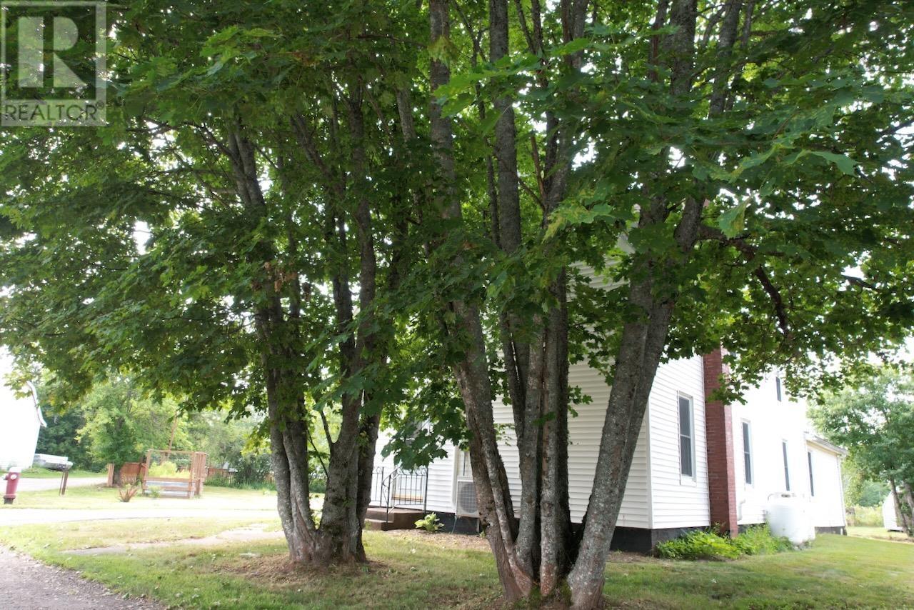 23 River Avenue, Oxford, Nova Scotia  B0M 1P0 - Photo 15 - 202620163