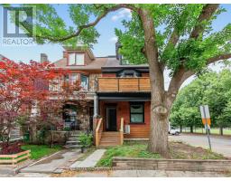 LOWER - 113 LANSDOWNE AVENUE, Toronto, Ontario