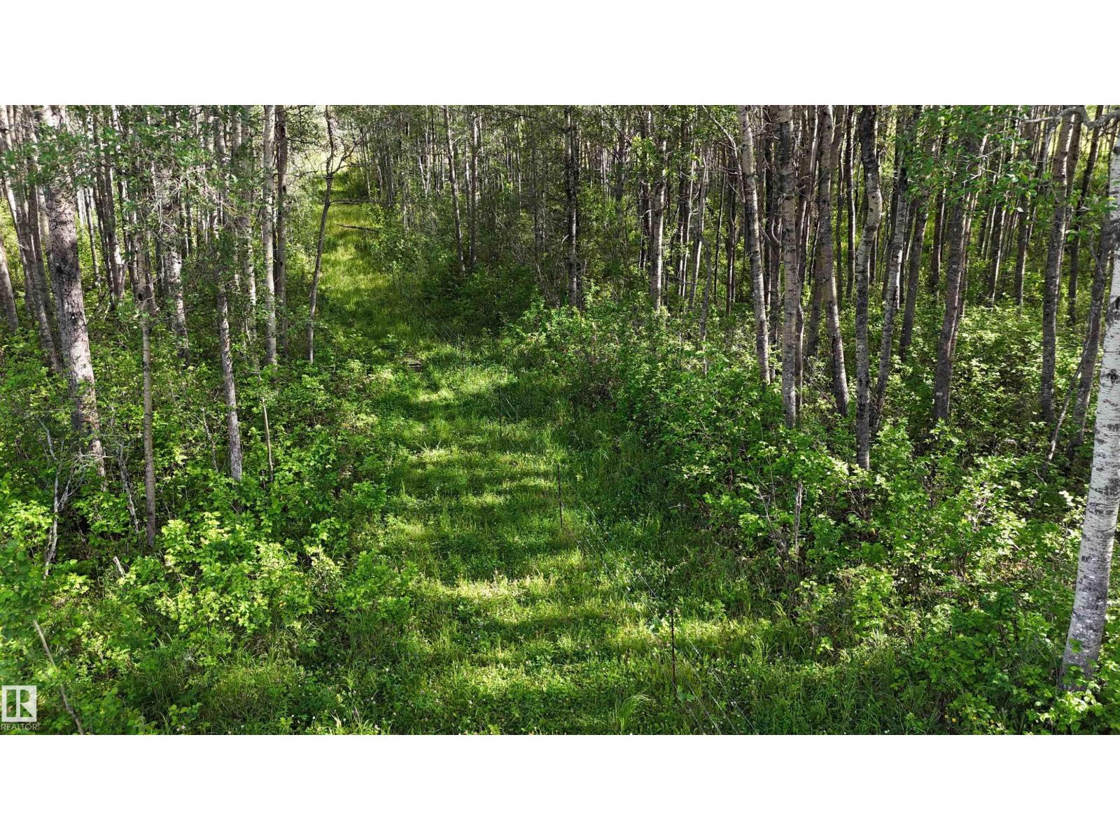 Twp 512 Rr 75, Rural Parkland County, Alberta  T7A 1R9 - Photo 23 - E4503017