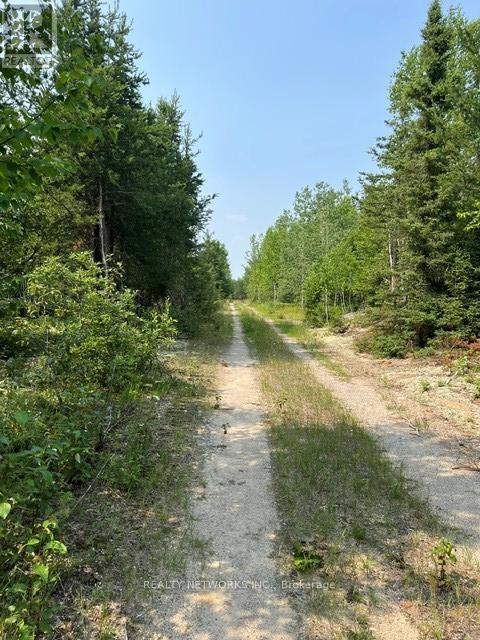 Pt Lt 11, Concession 4 Birchill Road E, Cochrane, Ontario P0L 1C0 - Photo 7 - T13226204
