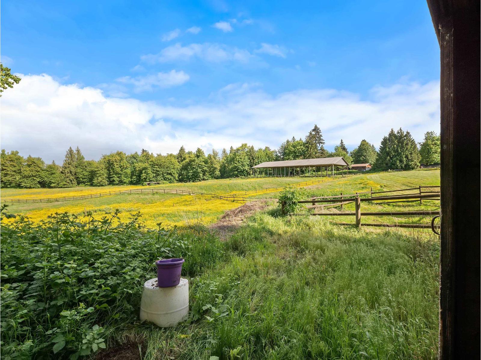 29598 Galahad Crescent, Abbotsford, British Columbia  V4X 2E4 - Photo 5 - R3154110