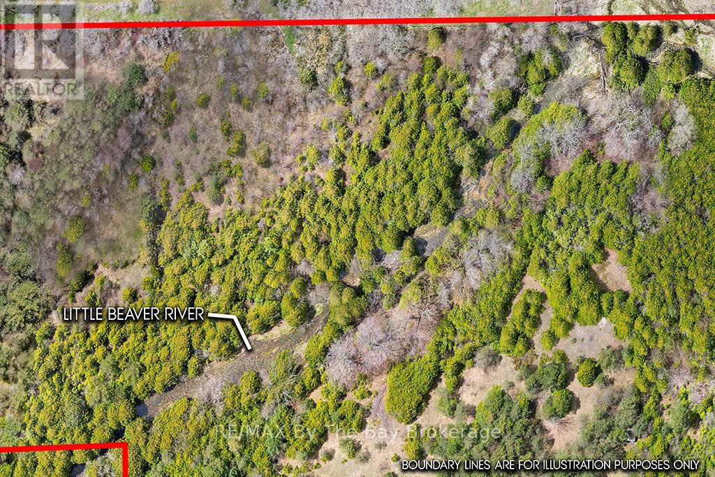 353814 Osprey Artemesia Townline, Grey Highlands, Ontario  N0C 1J0 - Photo 3 - X13237674