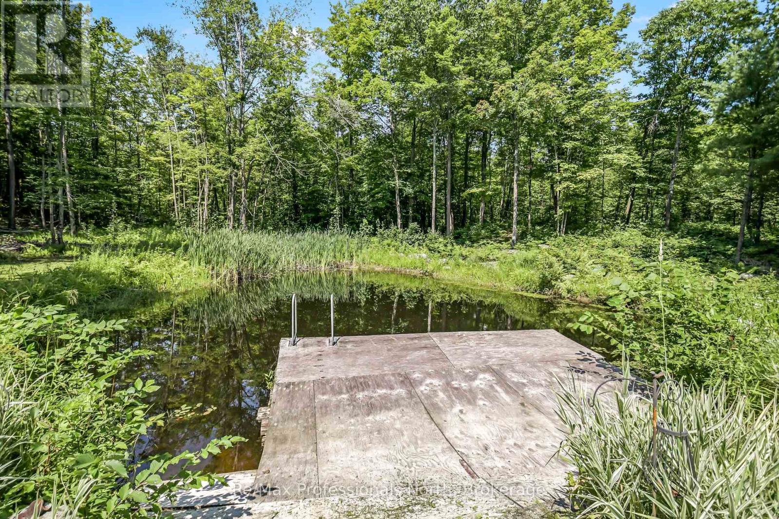 1017 Barlochan Road, Muskoka Lakes, Ontario  P1P 1R2 - Photo 3 - X13658296