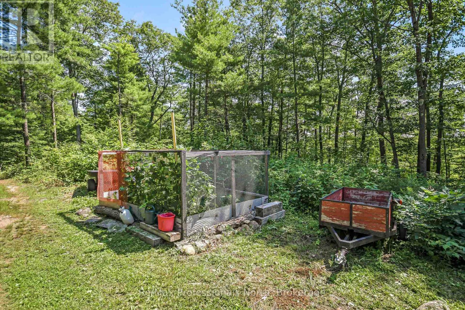 1017 Barlochan Road, Muskoka Lakes, Ontario  P1P 1R2 - Photo 9 - X13658296