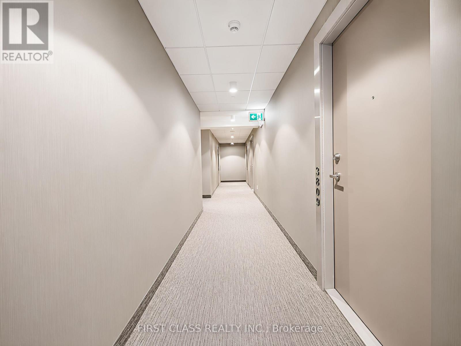 3810 - 100 Harbour Street, Toronto, Ontario  M5J 1B7 - Photo 6 - C13658258