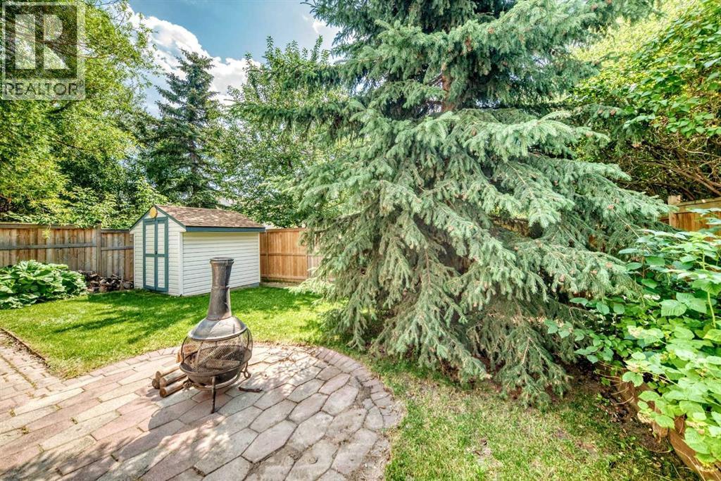 picture 46