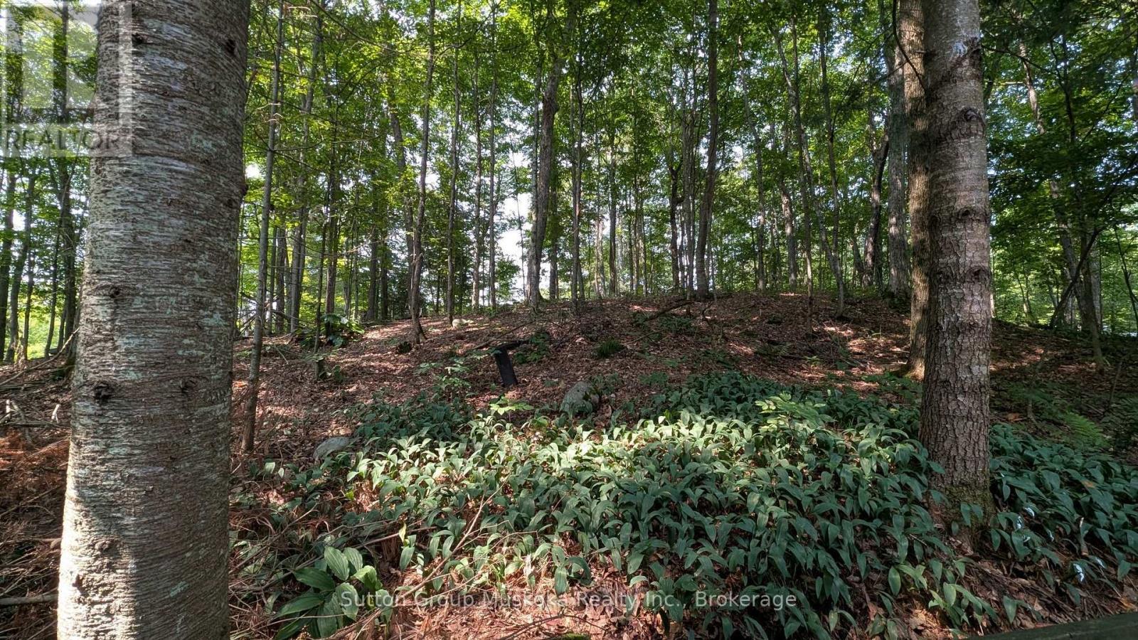 213 Woodland Drive, Huntsville, Ontario  P1H 1A7 - Photo 19 - X13658412