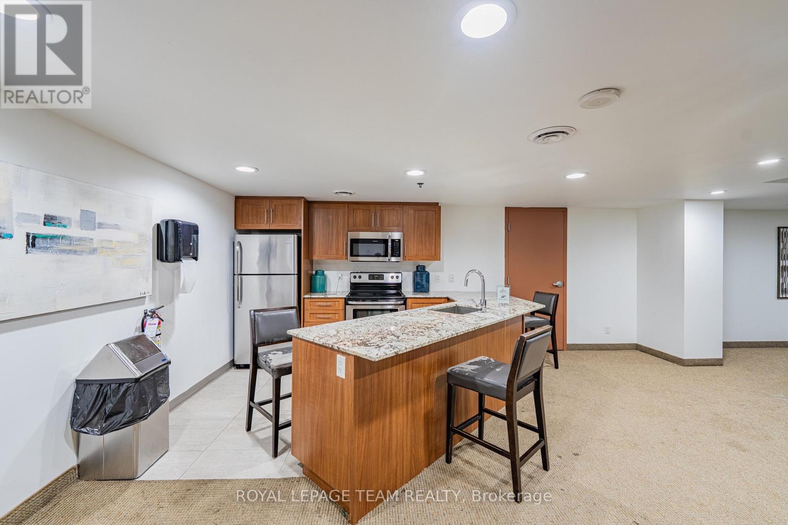 1002 - 242 Rideau Street, Ottawa, Ontario  K1N 0B7 - Photo 46 - X13658624