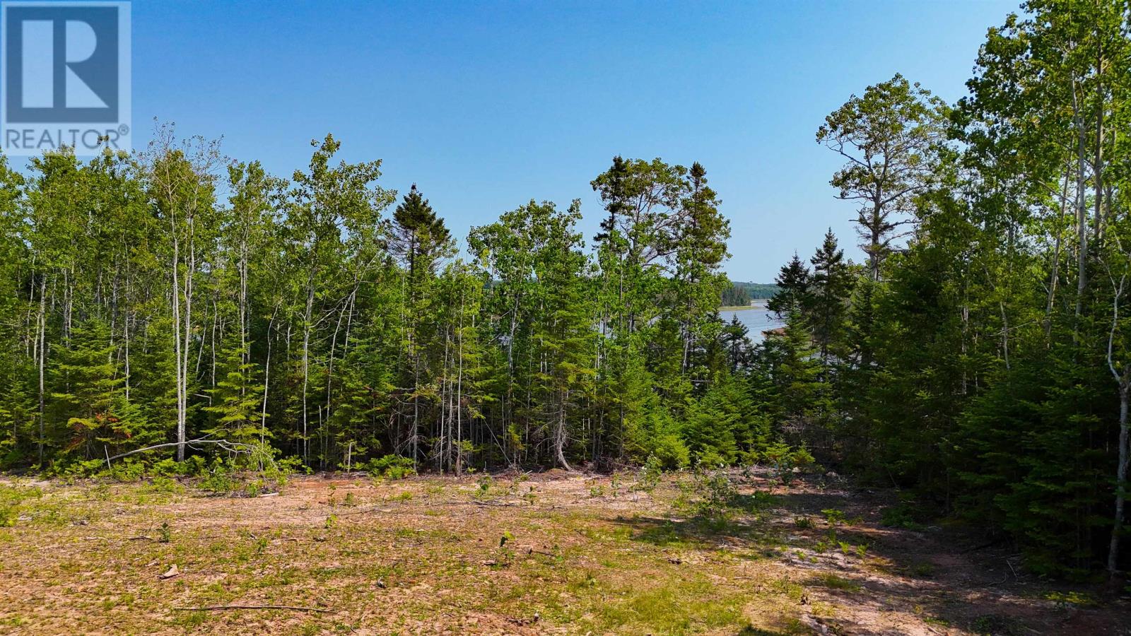 Lot Clays Road, Mount Buchanan, Prince Edward Island  C0A 1A0 - Photo 8 - 202620178
