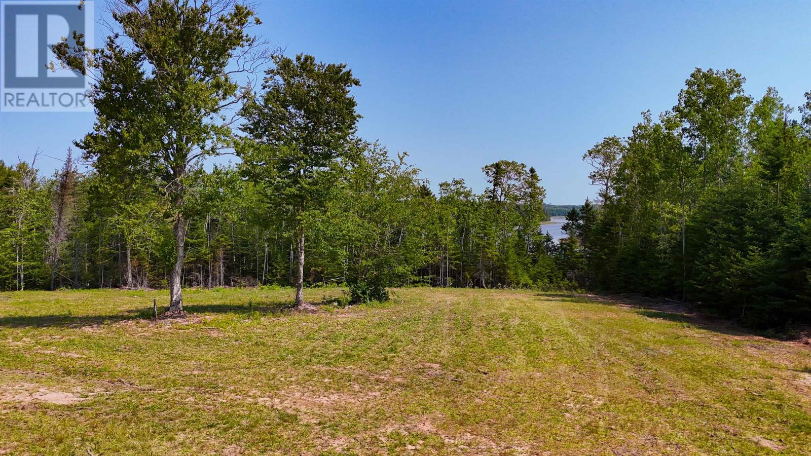 Lot Clays Road, Mount Buchanan, Prince Edward Island  C0A 1A0 - Photo 9 - 202620178