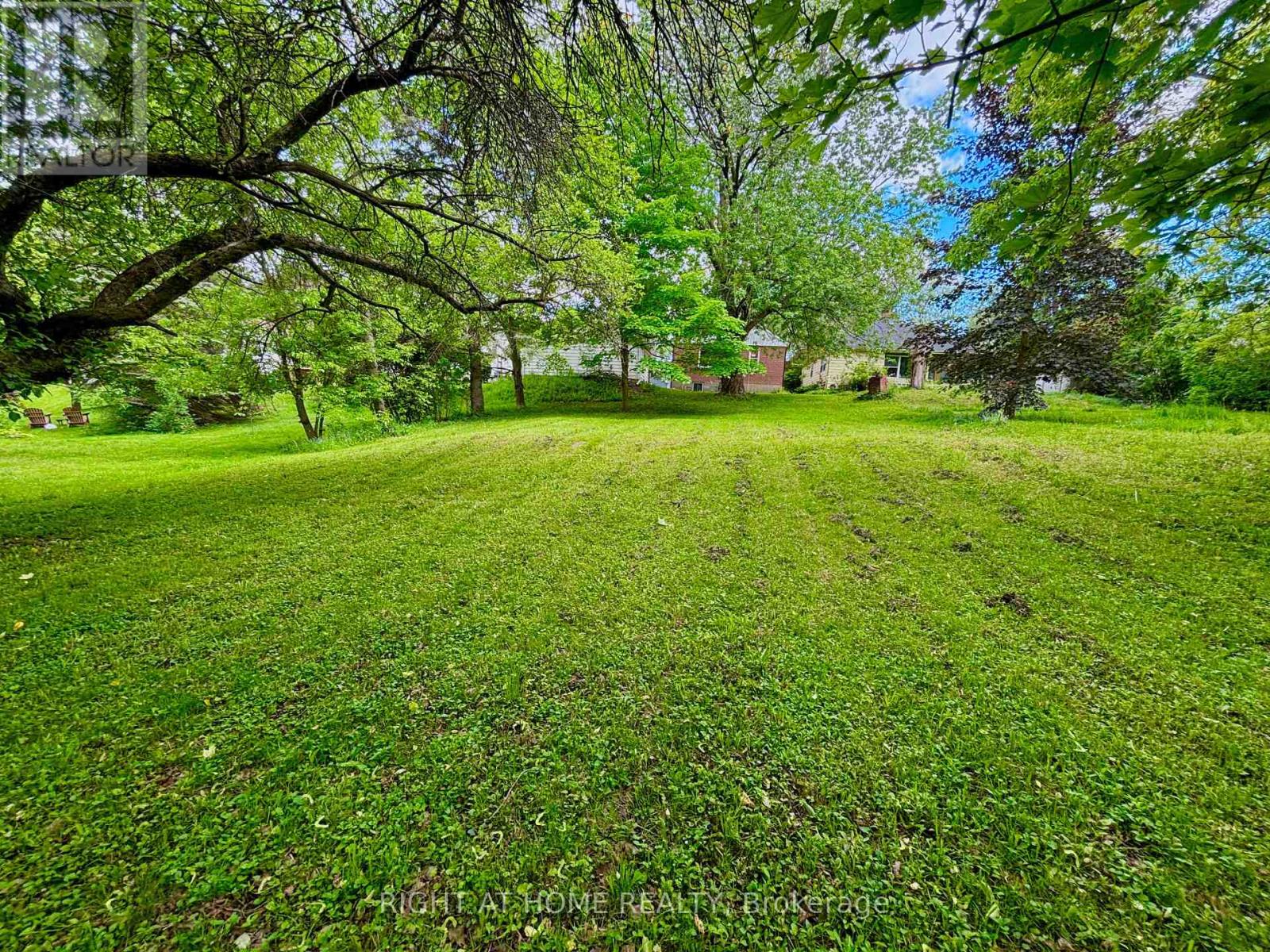 735 Srigley Street, Newmarket, Ontario  L3Y 1X6 - Photo 3 - N13243628