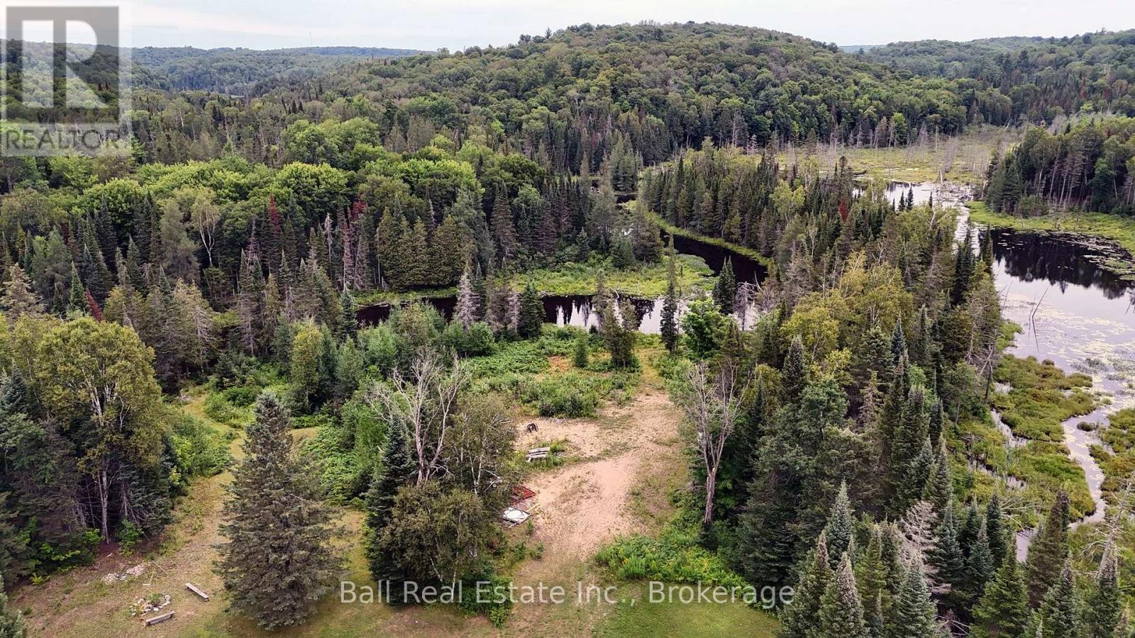 19573 Highway #118 Highway E, Highlands East, Ontario  K0L 3C0 - Photo 4 - X13658562