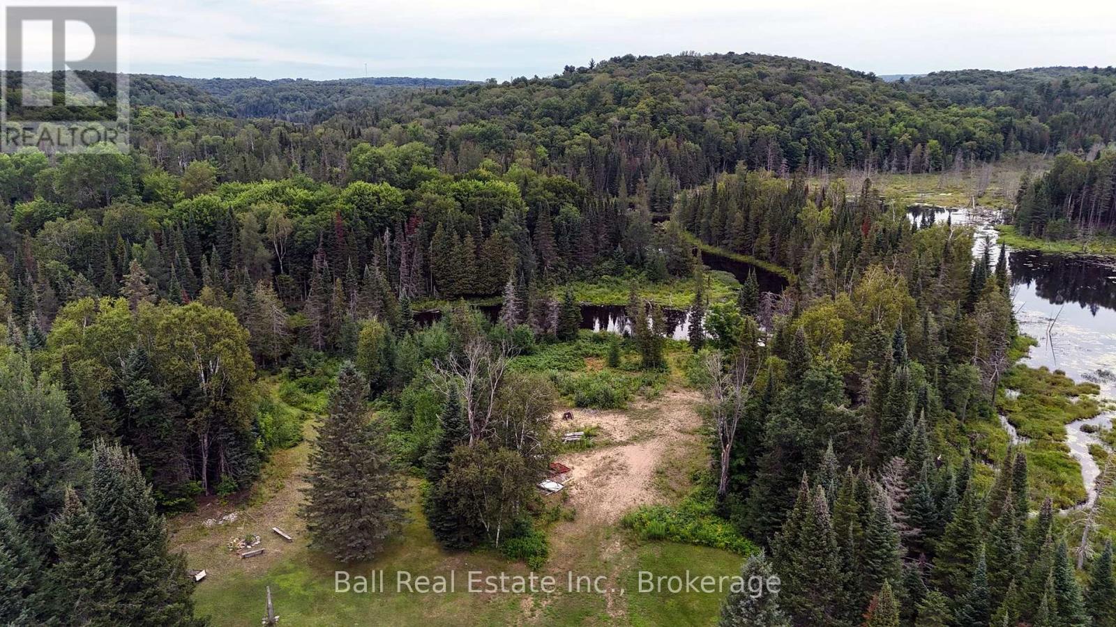 19573 Highway #118 Highway E, Highlands East, Ontario  K0L 3C0 - Photo 5 - X13658562