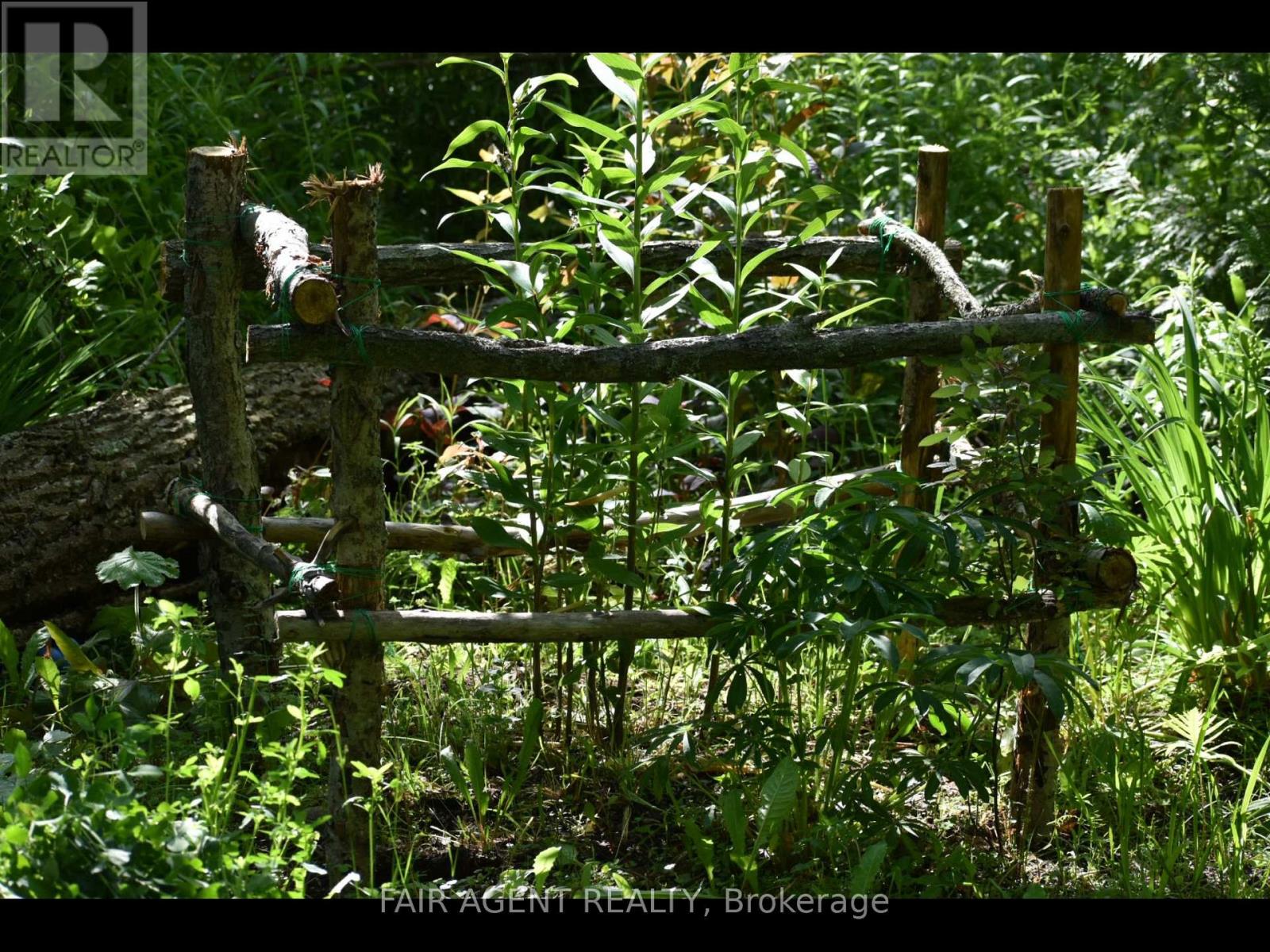 Pt Lt16 North Lunenburg Road W, South Stormont, Ontario  K0C 1R0 - Photo 13 - X13658872