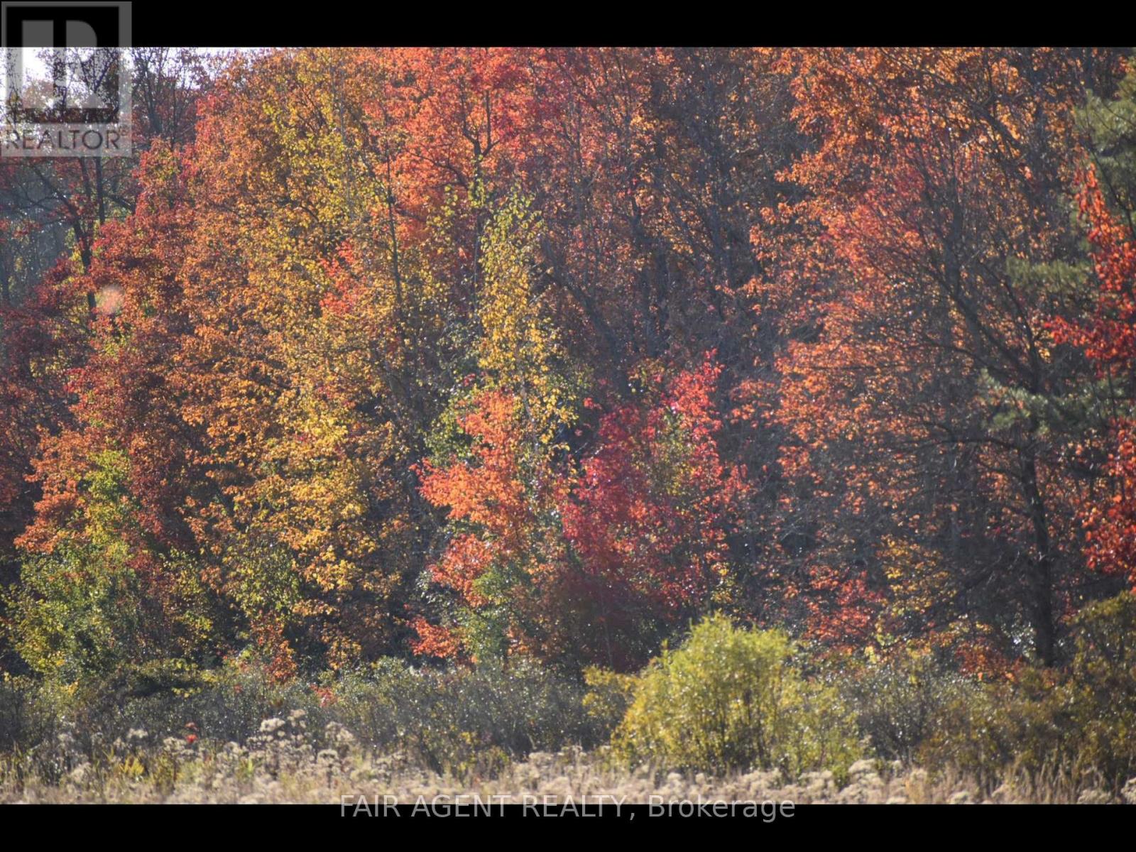 Pt Lt16 North Lunenburg Road W, South Stormont, Ontario  K0C 1R0 - Photo 21 - X13658872