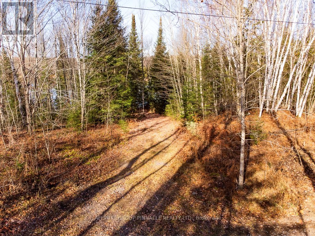 Lot 7 Comfort Drive, Highlands East, Ontario  K0M 1R0 - Photo 3 - X13659006