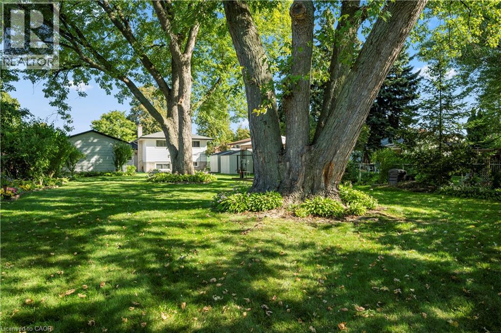 401 Mohawk Road W, Hamilton, Ontario  L9C 1W5 - Photo 44 - 40829600