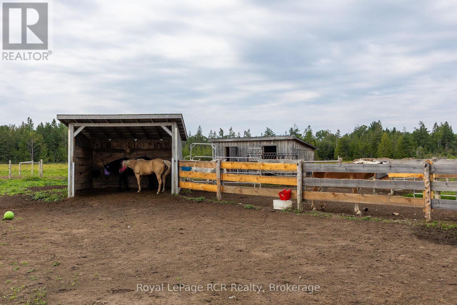 1519 West Road, Northern Bruce Peninsula, Ontario  N0H 1W0 - Photo 37 - X13659100